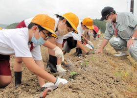 黒大豆の苗を植え付ける西紀南小学校の３年生たち＝丹波篠山市川北