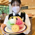 新メニューのカラフルな「虹くまかき氷」。交流サイト（ＳＮＳ）でも映えそうだ＝ユニトピアささやま