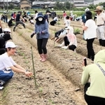 南多田自治会が主催した黒豆の植え付けに参加した丹波市在住の外国人ら＝丹波市柏原町南多田