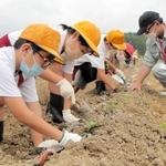 黒大豆の苗を植え付ける西紀南小学校の３年生たち＝丹波篠山市川北
