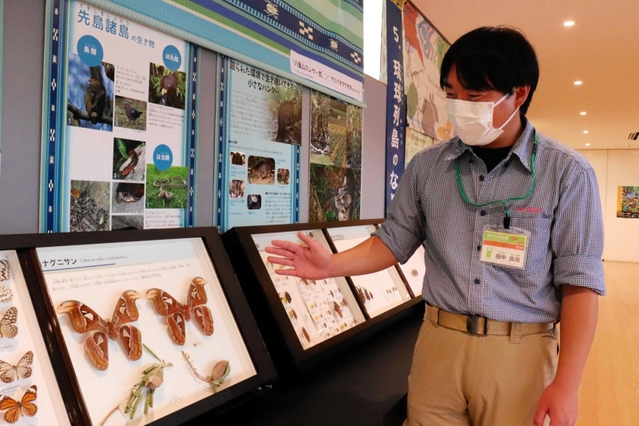 自由研究にぴったり」琉球列島の生き物大集合 奄美大島の