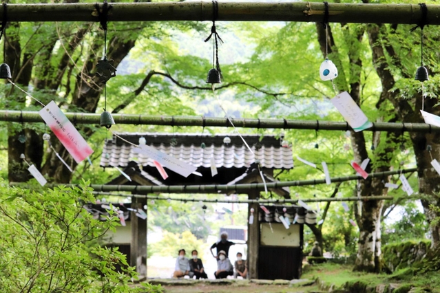 風鈴の涼やかな音が響く参道＝高源寺