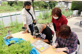 商品に同封するカードに丸印を付ける。さまざまさまざまな作業に触れ、自分の得意なことを探す＝丹波市氷上町常楽