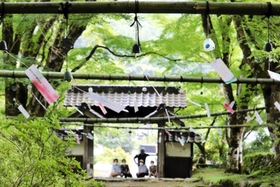 風鈴の涼やかな音が響く参道＝高源寺