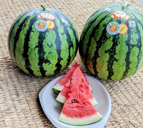 生産農家が減り、幻のスイカとも呼ばれる＝大山ライスセンター