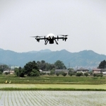 自動運転で水田に除草剤をまくドローン＝丹波篠山市小多田