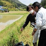 リモコン式の草刈り機の操縦を体験する農家＝丹波篠山市真南条上