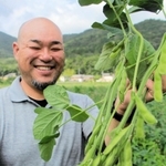 ふっくらとした実が付いたデカンショ豆を収穫する構井友洋さん＝丹波篠山市今田町木津
