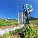 山の芋の畑に埋められたセンサー。地中の水分や温度、肥料の浸透具合などを計測している＝丹波篠山市味間南（超広角レンズで撮影）