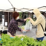 事業所前で来訪者にゴーヤーの苗を配るキャストら＝丹波市氷上町常楽