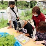 商品に同封するカードに丸印を付ける。さまざまさまざまな作業に触れ、自分の得意なことを探す＝丹波市氷上町常楽