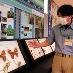 琉球列島の多様な生物を標本とパネルで紹介する特別展＝丹波市立氷上回廊水分れフィールドミュージアム