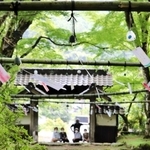 風鈴の涼やかな音が響く参道＝高源寺