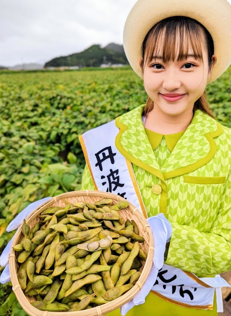 販売が解禁された「丹波篠山黒枝豆」＝丹波篠山市泉