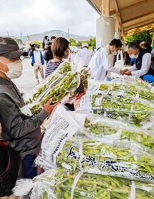 販売解禁となった黒枝豆。待ちわびた人々が列を作った＝ＪＡ丹波ささやま味土里館