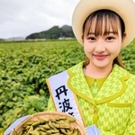 販売が解禁された「丹波篠山黒枝豆」＝丹波篠山市泉