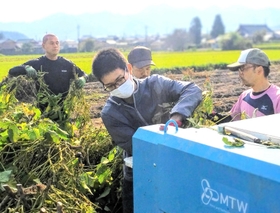 黒枝豆を脱莢機へ投入する丹波篠山市職員の山口達成さん＝丹波たぶち農場