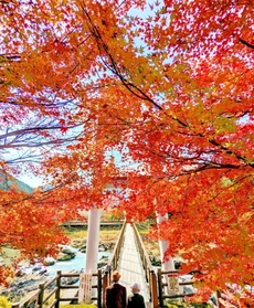川代渓谷の紅葉＝丹波市山南町上滝（撮影・堀井正純）