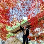 モミジのおふとん？＝丹波篠山市味間奥（撮影・堀井正純）