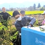 黒枝豆を脱莢機へ投入する丹波篠山市職員の山口達成さん＝丹波たぶち農場