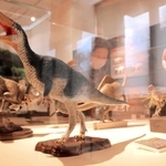 恐竜などの復元模型を展示している会場＝丹波竜化石工房ちーたんの館