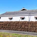 倉庫横に４段重ねで「稲木干し」された黒豆。まるで倉庫の一部のよう！？＝丹波篠山市内