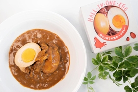住山ごぼうの黄キーマカレー（山忠商事提供）
