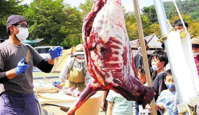 鹿肉解体キャンプの様子＝丹波篠山市遠方（提供写真）