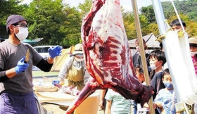 鹿肉解体キャンプの様子＝丹波篠山市遠方（提供写真）