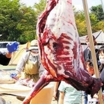 鹿肉解体キャンプの様子＝丹波篠山市遠方（提供写真）