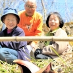 山あいに静かに顔を出し陽光に照らされるザゼンソウ＝青垣いきものふれあいの里