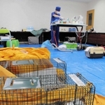 たんばコミュニティハブの招いた獣医師が猫の不妊去勢を行う簡易の手術室＝丹波市柏原町柏原