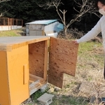 地域猫のため屋外に置かれた猫用の小屋＝丹波市柏原町上小倉