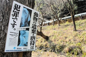保護猫活動に取り組むＮＰＯ法人たんばコミュニティハブが設置したポスター。最近は改善されたが、一帯は以前は「猫捨て山」のような状態だったという＝丹波市柏原町