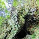 石仏が祭られている「愛染窟」の入り口。天然の岩穴で、中のわき水を飲めば諸病が治るといわれている＝丹波篠山市栗柄