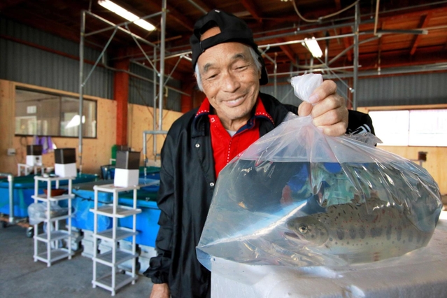 冷たい地下水でアマゴなどを養殖する池上淳さん＝丹波市氷上町成松