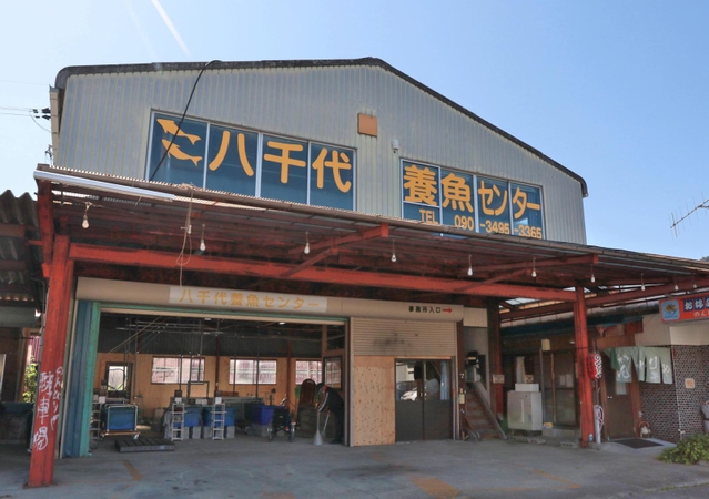 バスの車庫だった建物を改装した「八千代養魚センター」＝丹波市氷上町成松