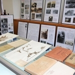 牧野富太郎と丹波地域とのつながりを示す資料を展示する会場＝丹波市立中央図書館