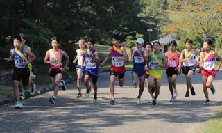 勢い良くスタートする男子１区のランナーたち＝丹波並木道中央公園