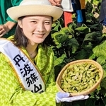７日に販売が解禁された「丹波篠山黒枝豆」＝丹波篠山市川原