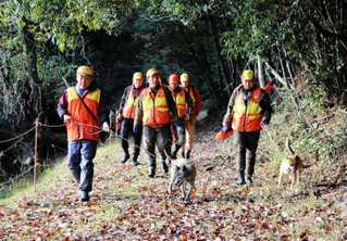 猟犬と山へ入るハンターたち＝丹波篠山市内