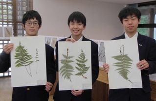 夏に採集したシダ植物の標本を手にする理科部の１年生＝氷上回廊水分れフィールドミュージアム