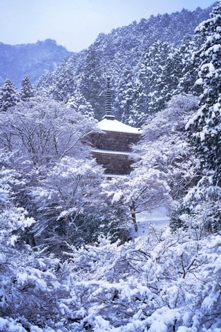 雪化粧した高源寺の「多宝塔」＝丹波市青垣町桧倉
