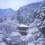 雪化粧した高源寺の「多宝塔」＝丹波市青垣町桧倉