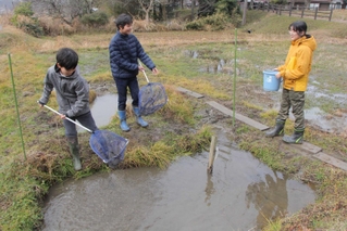 ビオトープの生き物を調べる（右から）藤井菜々美さんと幸長正樹君、北岡樹君＝丹波市氷上町石生