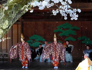 「篠山春日能」の催しで、桜花が舞い散る中で上演された能「二人静」＝２０２２年４月、春日神社能舞台