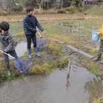 ビオトープの生き物を調べる（右から）藤井菜々美さんと幸長正樹君、北岡樹君＝丹波市氷上町石生