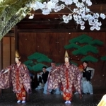 「篠山春日能」の催しで、桜花が舞い散る中で上演された能「二人静」＝２０２２年４月、春日神社能舞台