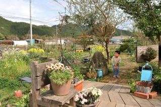 園芸種から山野草、野菜まで多彩な花木が共演する「わたぼうし」の庭園＝丹波市青垣町中佐治