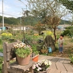 園芸種から山野草、野菜まで多彩な花木が共演する「わたぼうし」の庭園＝丹波市青垣町中佐治